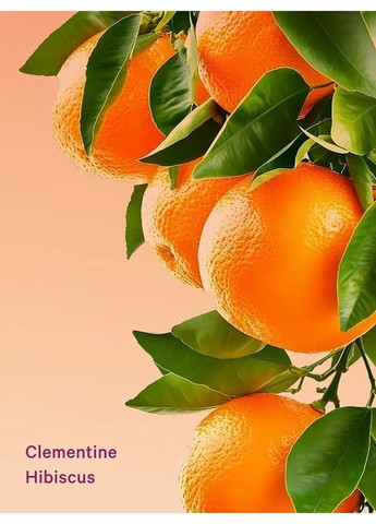 Набір Clementine Hibiscus Hair & Body Mist + Lotion Victoria's Secret (369741129)