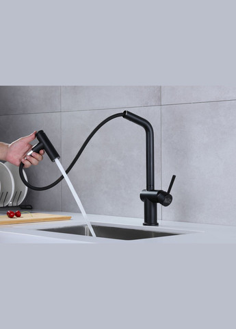 Черный смеситель для кухни с выдвижным изливом FBB-44 Nett (336935163)