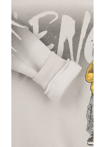 First Kids світшот з принтом для хлопчика m-189 116 см shop (2000999198427) сірий повсякденний