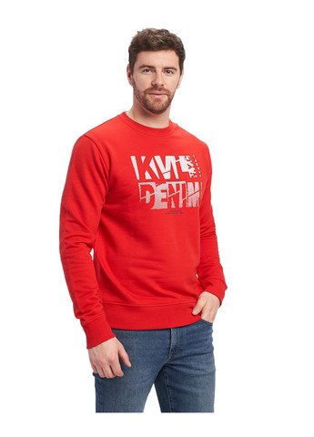 Толстовка мужская Kenvelo (302319290)