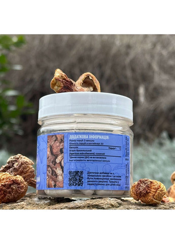 Гриб Агарик бразильский, капсулы 60 шт по 0.5 г Лісовик (334293051)