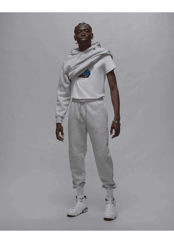 Штани чоловічі Brooklyn Fleece FV7277-050 сірі Jordan (361246624)