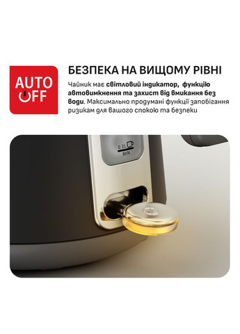 Електрочайник KI6668E0 Tefal (323166510)