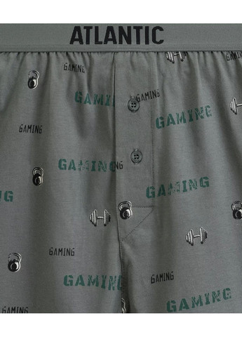 Мужские семейные трусы Atlantic (363838967)