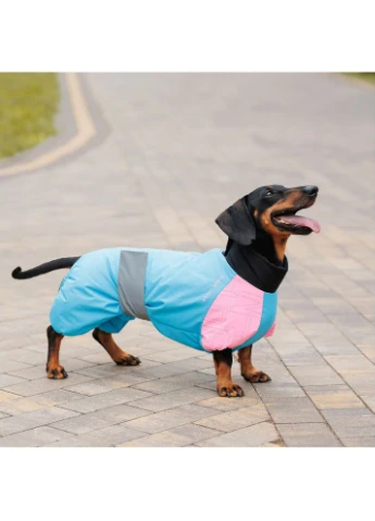 Комбінезон Milly дівчинка XL коргі для собак 4823082439768 Pet Fashion (386782818)