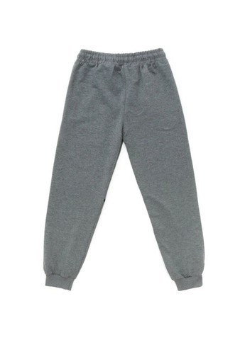 Серые демисезонные брюки Joi