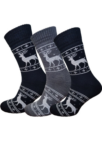 Набор махровых носков шерсть Термо 3 пары MТ 610/3 р.41-45 разноцветные Lomani (329901359)