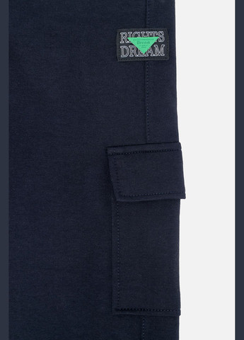 Темно-синие демисезонные брюки Yuki