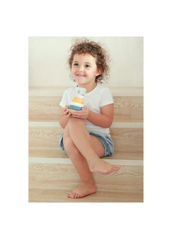 Развивающая игрушка (44005) Viga Toys Пирамидка PolarB Белый медведь (366656161)