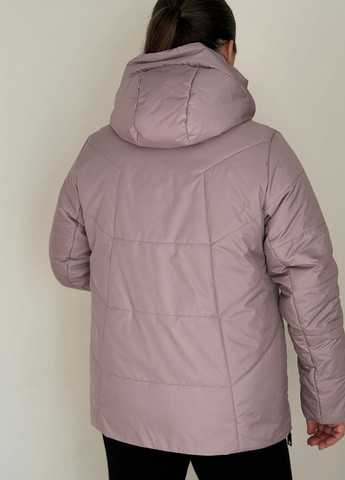 Пудрова рута Eva Classic