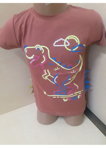 3Д Футболка для хлопчика Динозаври Туреччина теракота розміри 86 - 110 No Brand (370389595)