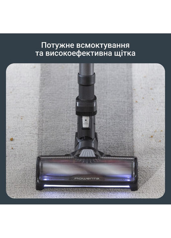 Флеш пам'ять usb Rowenta (368585957)