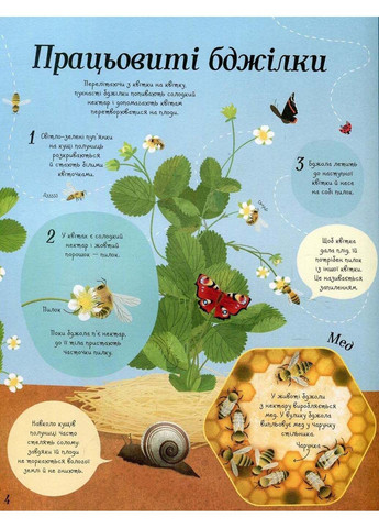 Книга Все начинается с семян…как растет еда Эмили Боун 2018г 32 с Жорж (293060571)