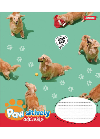 Набор тетрадей школьных 1Bересня А5/12 косая линия Pawsitively 25 шт (768237) 1 Вересня (352167298)