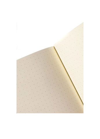 Блокнот "Joyful" CBRT-0349 у крапочку, градіент, формат А5, 144 аркуша Cobart (301086450)