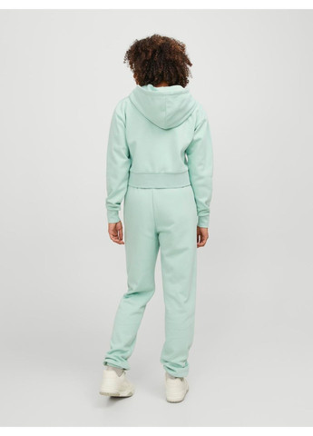 Штаны флис,бирюзовый с принтом,JJXX Jack & Jones (278017297)