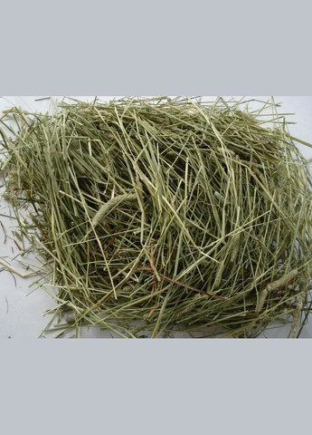 Сено ЛУГОВОЕ для грызунов ТМ WitoPets 6 литров поглощения No Brand (320950375)