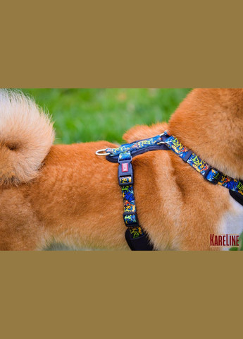 Шлея з нейлону з візерунком "CRAZY", логотипом та пластиковою пряжкою 25 мм А:500-640 мм, В:660-900 мм Kareline (339074803)