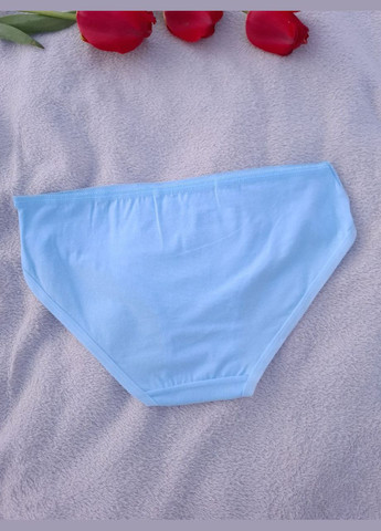 Трусики слип женские натуральный хлопок НАБОР 4 ШТ UOKIN Сліп (329729355)