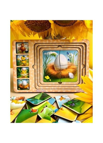 Сортер-пазл "Етапи розвитку курочки" Ань-Янь (318017114)