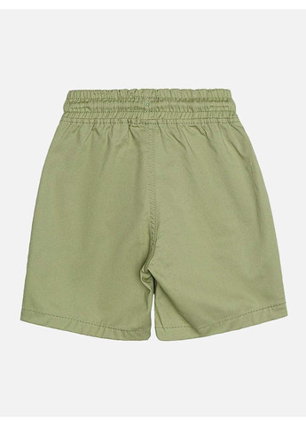 Шорти ALG (293241731)