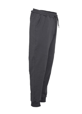 Костюм спортивный мужской Макс двунить/рибана серый гри, S 4PROFI (304425813)