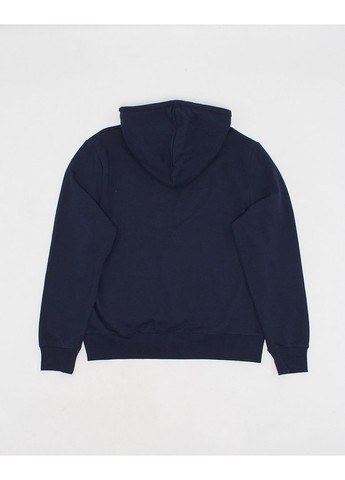 Худі демісезон,темно-синій з принтом, Wesc (300347241)