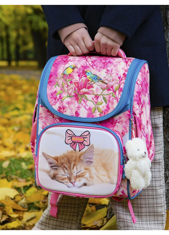 Ранец школьный для девочек SkyName 2074 Winner One (278404600)