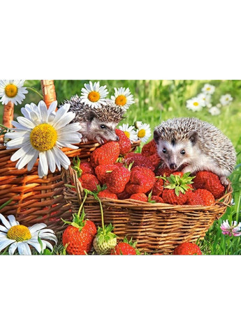 Пазл Клубничный десерт 200 деталей Castorland (369798281)