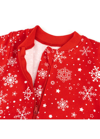 Человечек утепленный на молнии Dexter`s snowflake футер dexter's (367020181)