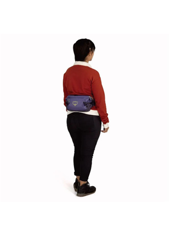 Поясна сумка Transporter Waist Pack Osprey (358499029)