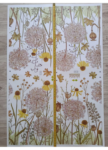 Наклейка на стіну Жовті квіти кульбаби (лист 60 х 90 см) Б47-3 PLM-AB BRUP (356767855)