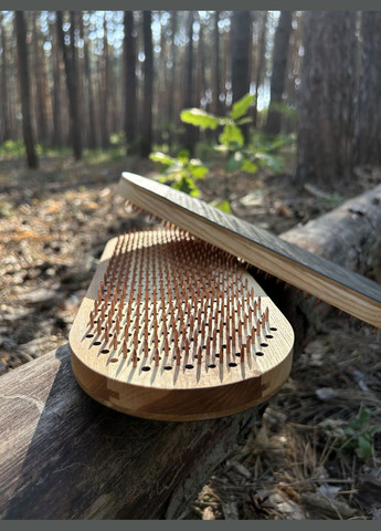 Дошка Садху з мідними цвяхами та каменем. Handmade (361384757)