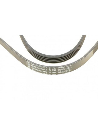 Ремінь полікліновий (Вир-во ) 5PK1640 ContiTech (366206666)