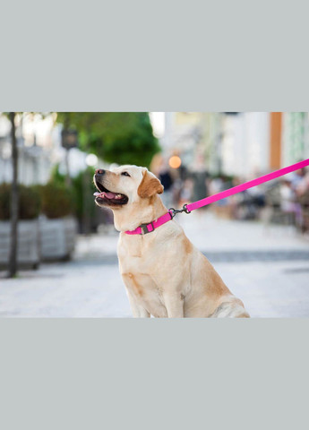 Поводок для собак водостойкий Waterproof, S, Ш 15 мм, Дл 183 см розовый WAUDOG (322125276)