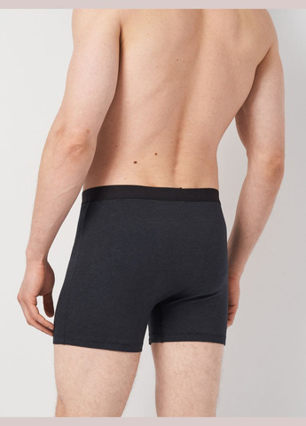 Трусы (3шт) Basic Collection (295079753)