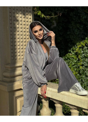 Велюровий костюм сірого кольору на всі випадки життя No Brand 044-3 (353307072)