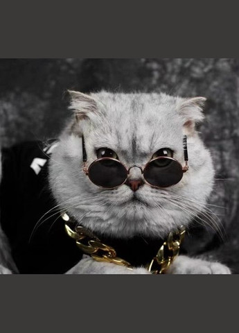 Очки для собак Pet Style 8 см Фиолетовые No Brand - (323223633)