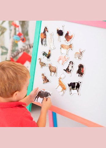 Набір магнітів "Ферма реалістичні" ML4031-04 EN MAGDUM (334160758)