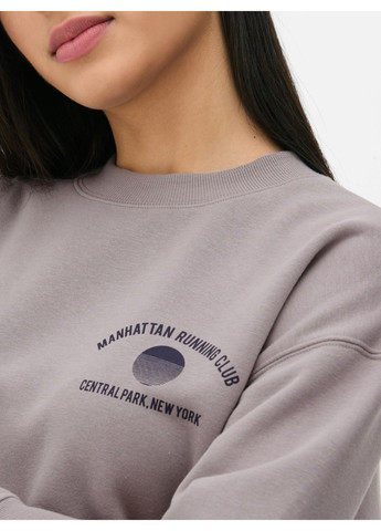 Серый свитшот флис,серый с принтом, Primark (368151092)