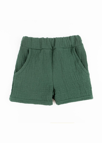 Зелений демісезонний костюм дитячий шорти та футболка emerald зелений dexter's