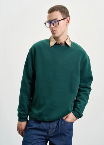 Зеленый свитшот мужской утепленный Роза однотонный без декора (318546390)