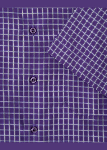 Сорочка чоловіча Charlz Spanser (322981639)