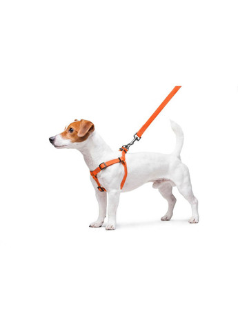 Шлея для собак водостійка Waterproof, c QR паспортом, металічна пряжка-фастекс, Ш 15 мм, Дов 40-55 см помаранчевий WAUDOG (322642650)