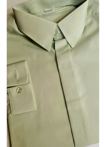 Светло-зеленая праздничный рубашка Jankes