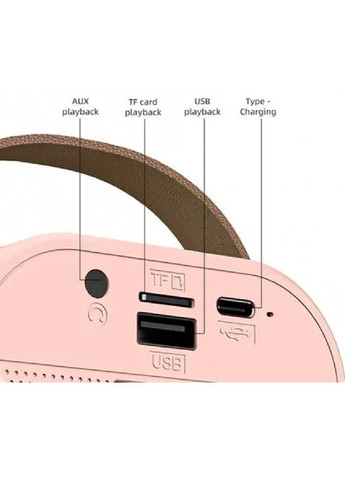 Портативна переносна колонка з караоке мікрофоном RGB підсвічуванням Bluetooth USB microSD Type-C 9х7х9 см (476422-Prob) Рожева Unbranded (281326415)