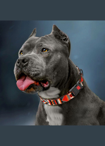 Нашийник для собак розмір M ширина 20 мм 30-40 см Geometric (2100102212016) Hi Dog (332880076)