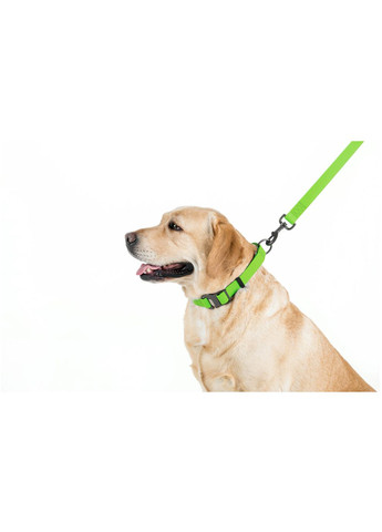 Поводок для собак водостойкий WAUDOG Waterproof Ширина 20мм Длина 183см Collar (362136131)