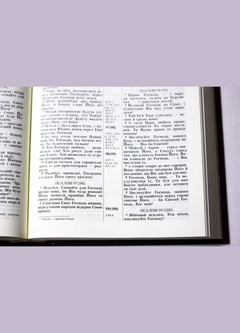 🇺🇦 Біблія українською мовою, великого формату, чорна Українське Біблійне Товариство (316451493)