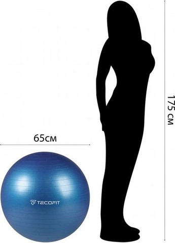 Мяч для йоги с насосом PVC/ПВХ 65 см, 900 г, TECOFIT (370439602)
